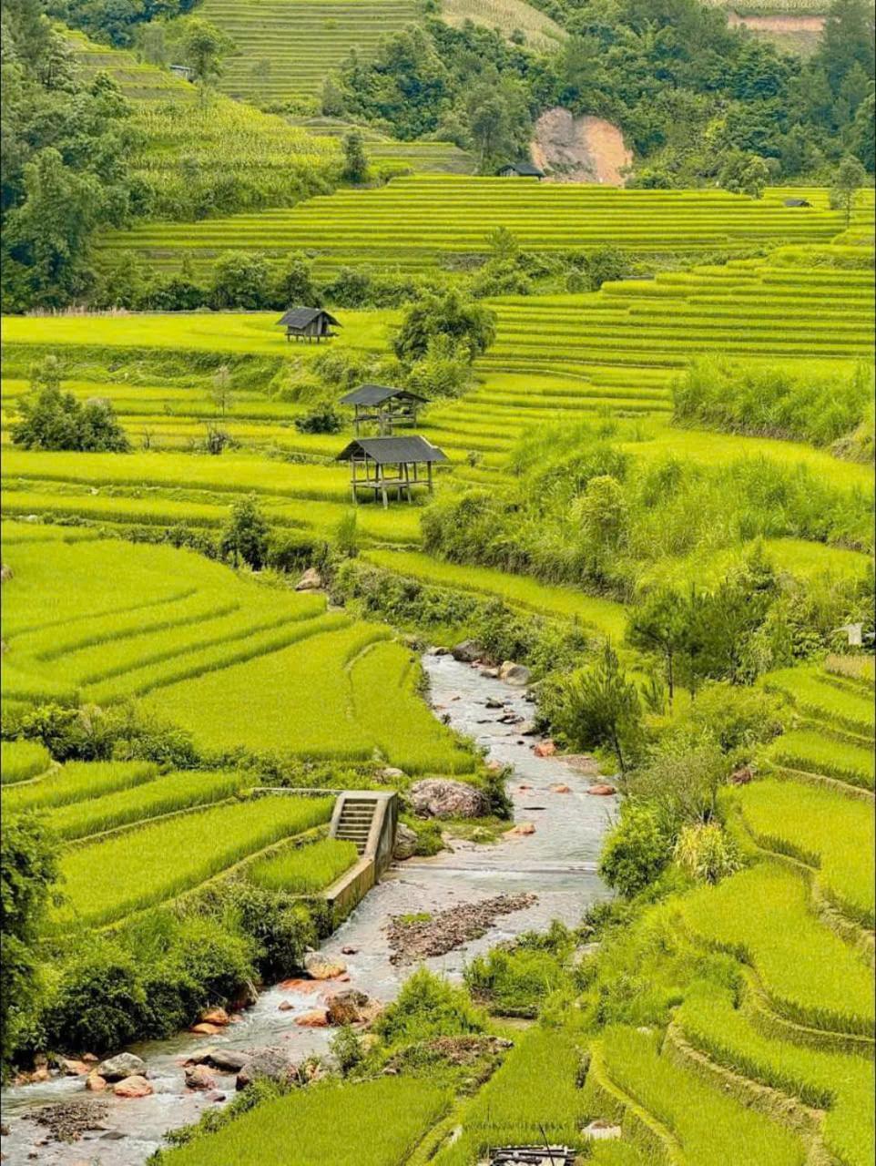 Mu Cang Chai Eco Home Bagian luar foto